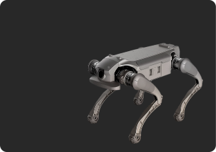 quadruped robot